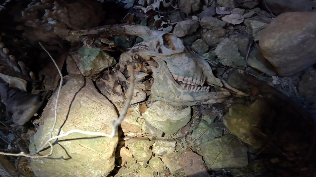 "Girme çıkamazsın" dediler! Fenomen isim 90 metre derinliği olan obruğa indi! 3