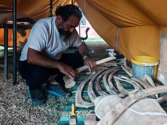 Toprak altından çıkarıldı, yapboz gibi birleştiriliyor!