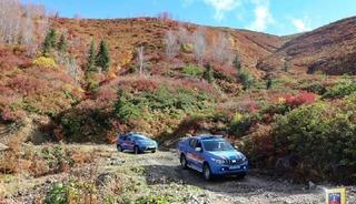 Artvin’de aranan 47 şahıs yakalandı