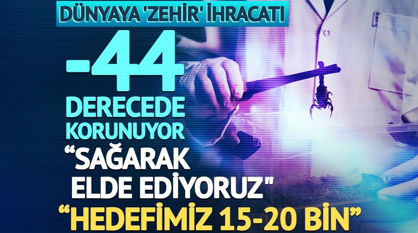 Türkiye'den dünyaya 'akrep zehri' ihracatı
