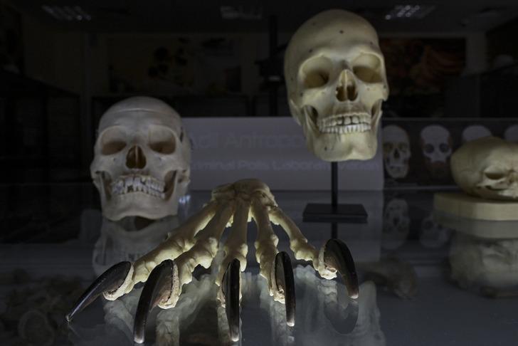 Dünyada sadece 3 ülkede var! Kayıp yüzlerin gizemi... Sır olayların aydınlatıldığı laboratuvar görüntülendi G2