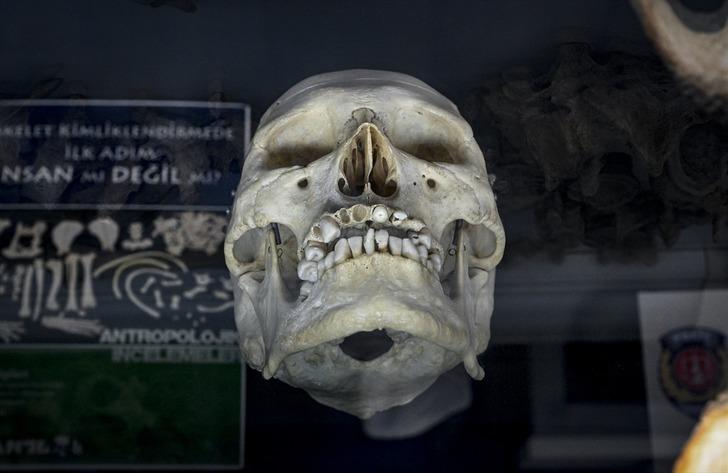 Dünyada sadece 3 ülkede var! Kayıp yüzlerin gizemi... Sır olayların aydınlatıldığı laboratuvar görüntülendi G5