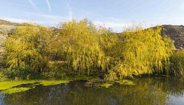 Kırıkkale’de sonbahar güzelliği 8