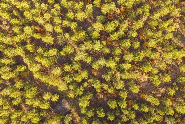 Kırıkkale’de sonbahar güzelliği 5