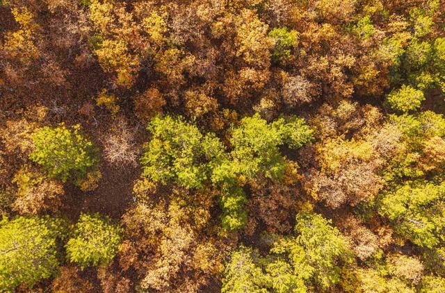 Kırıkkale’de sonbahar güzelliği 4