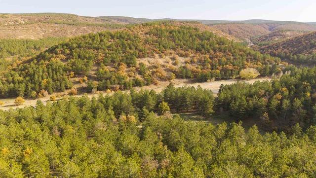 Kırıkkale’de sonbahar güzelliği 2