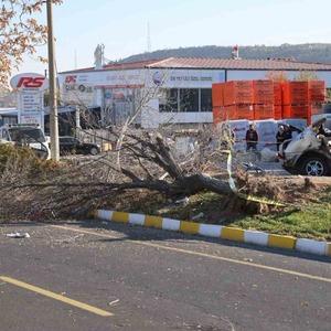 İkiye bölünen otomobil, genç arkadaşlara mezar oldu