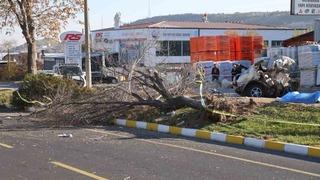 İkiye bölünen otomobil, genç arkadaşlara mezar oldu