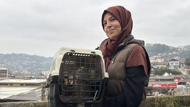 Zonguldak ta kaybolan kedi günler sonra bacağında mermiyle ortaya çıktı! 2