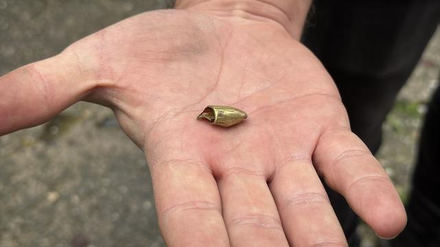 Zonguldak ta kaybolan kedi günler sonra bacağında mermiyle ortaya çıktı! 1