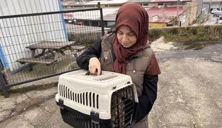 Kaybolan kedi günler sonra bacağında mermiyle ortaya çıktı!