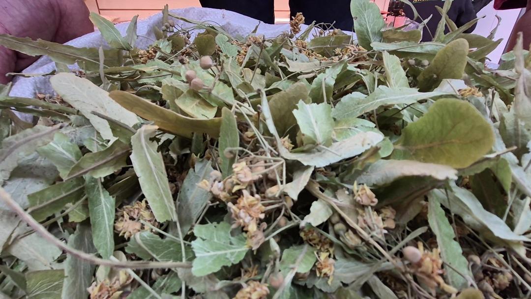 Fiyatı altınla yarışıyordu! Ucuzladı 1200 TL, bu yıl çok var 1