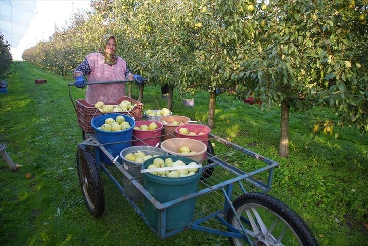 'Geliri çok yüksek! Kârlı bir iş' Tavsiye etti 'Küçük araziden yüksek gelir elde edildiğini gördük' G4