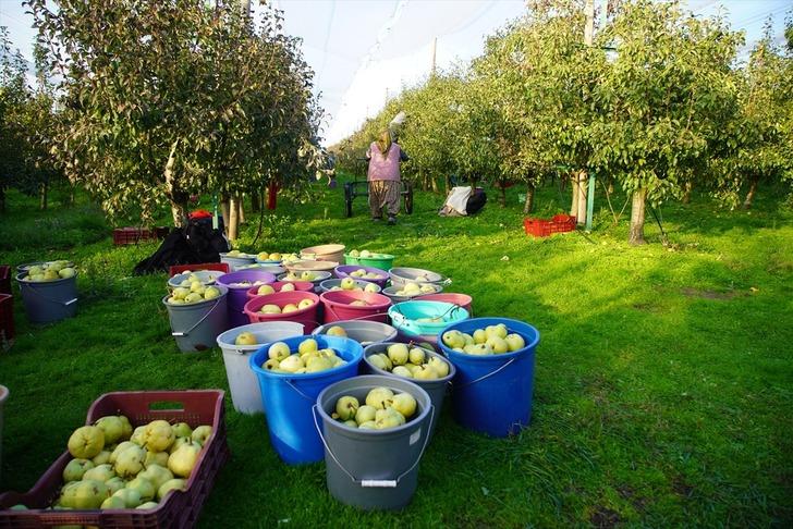 'Geliri çok yüksek! Kârlı bir iş' Tavsiye etti 'Küçük araziden yüksek gelir elde edildiğini gördük' G5