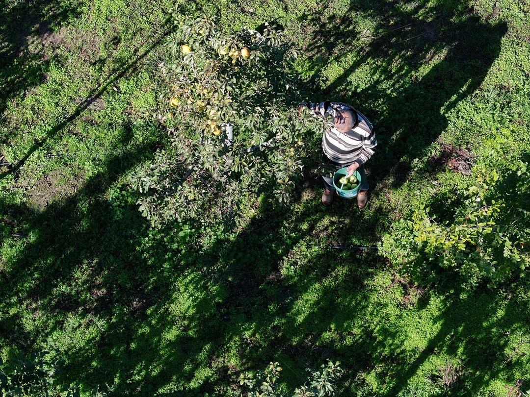 Geliri çok yüksek! Kârlı bir iş Tavsiye etti Küçük araziden yüksek gelir elde edildiğini gördük 2