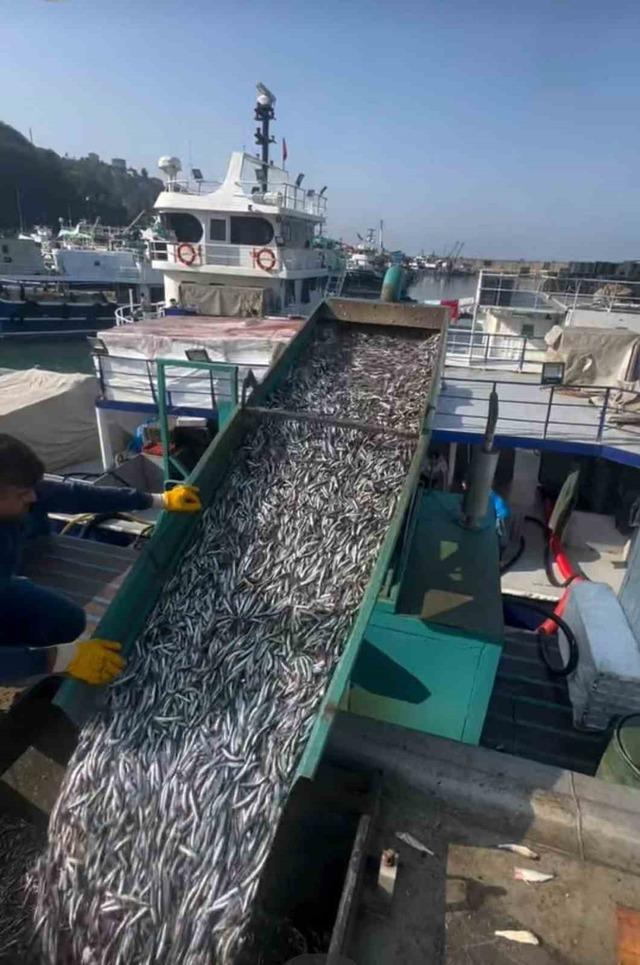 640xauto Araklı Limanı’nda hafta sonu hamsi yoğunluğu