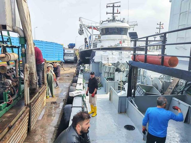 640xauto Araklı Limanı’nda hafta sonu hamsi yoğunluğu