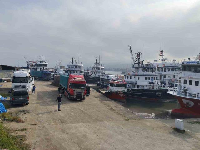 640xauto Araklı Limanı’nda hafta sonu hamsi yoğunluğu