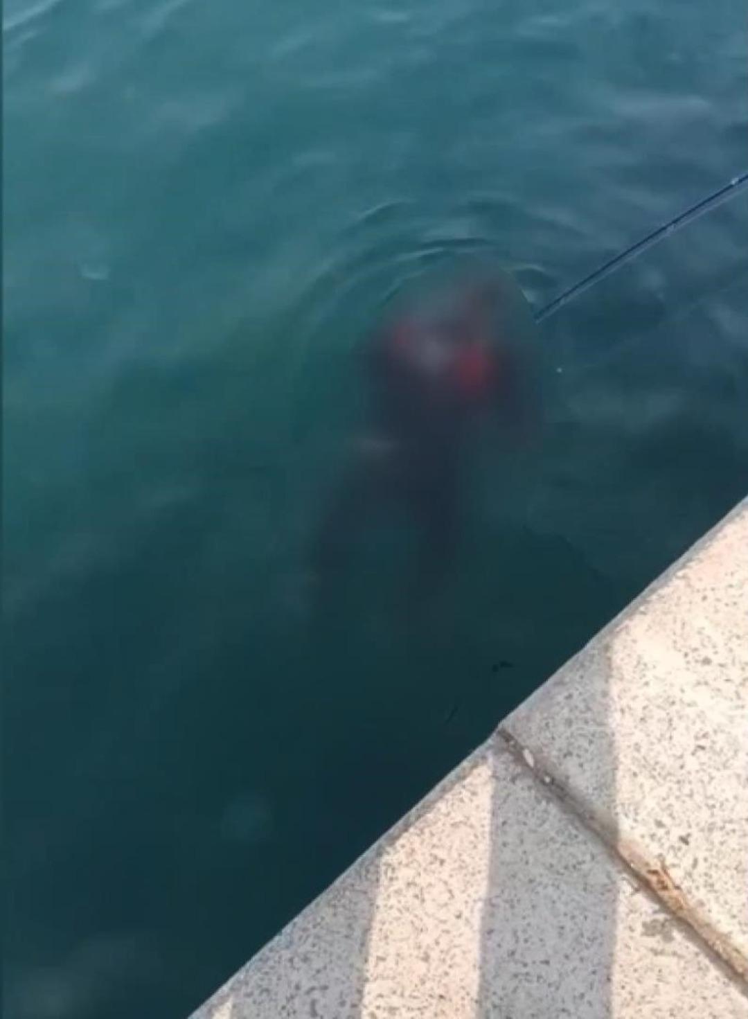 Balık&ccedil;ıların oltasına takılmıştı: İstanbul Boğazı nda bulunan cesedin kimliği ortaya &ccedil;ıktı! 5