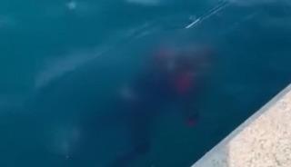 Balıkçıların oltasına takılmıştı: Cesedin kimliği ortaya çıktı!