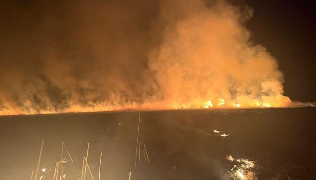 Hakkari&rsquo;de kuş cennetinde yangın 4