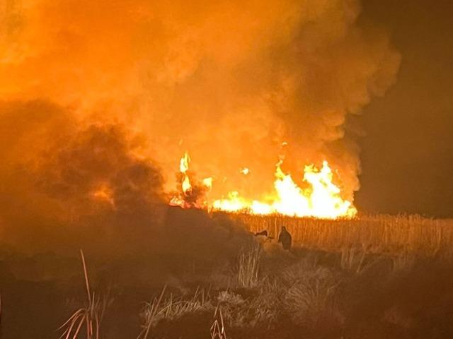 Hakkari’de kuş cennetinde yangın