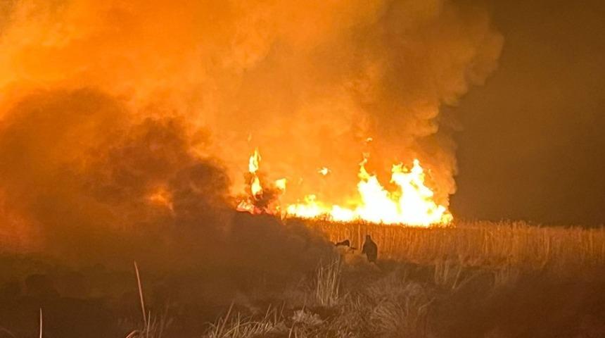 Hakkari&rsquo;de kuş cennetinde yangın