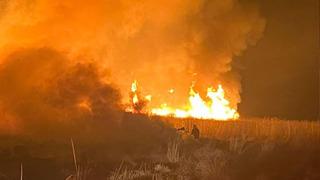 Hakkari'de kuş cennetinde yangın! Ekipler sevk edildi