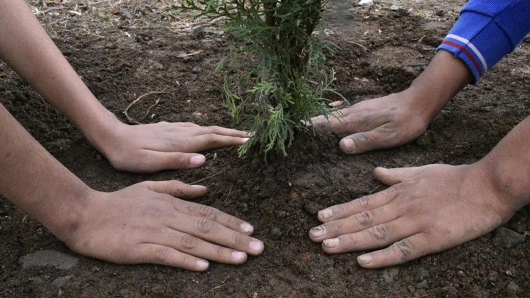 MEB okullardaki 10 Kasım anmasını yasakladı mı? Bir yalanlama da Dezenformasyonla Mücadele Merkezi nden geldi 2