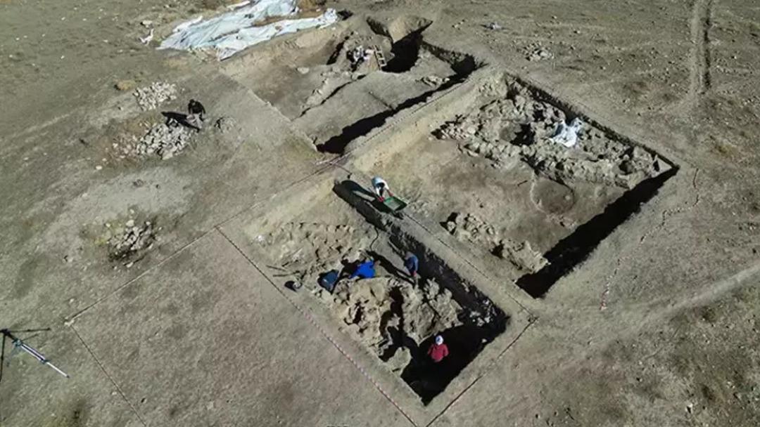 Van da heyecanlandıran gelişme! 5 bin yıllık arpa taneleri bulundu 1