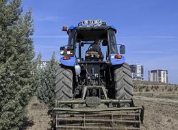 Ağaçlandırma seferberliğinin ilk yılında dikilen fidanlar ağaca dönüştü