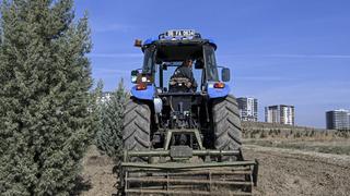 Ağaçlandırma seferberliğinin ilk yılında dikilen fidanlar ağaca dönüştü