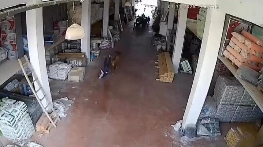 Depoya giren inek &ccedil;alışanlara saldırdı: Vatandaşlar g&uuml;&ccedil;l&uuml;kle kurtuldu