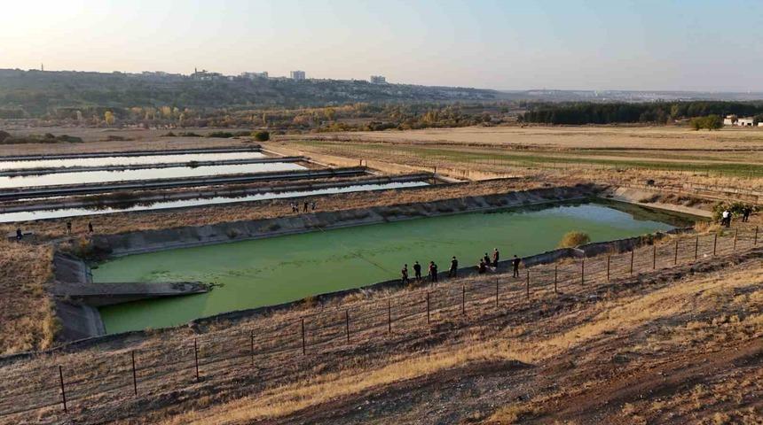 Diyarbakır&rsquo;a tedavi i&ccedil;in sevk edilip kayıplara karışan polisi arama &ccedil;alışmaları 6&rsquo;ıncı g&uuml;n&uuml;nde
