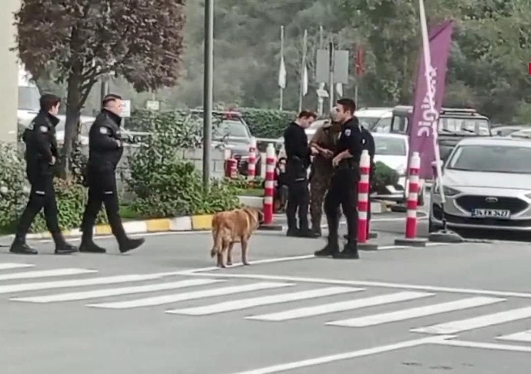 Yayıncı kuruluş binasını oyuncak tabancayla basmıştı! O kişinin ifadesi ortaya çıktı: Kim olsa aynısını yapardı 1