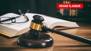 T.C. İSTANBUL ANADOLU 8. AİLE MAHKEMESİNDEN