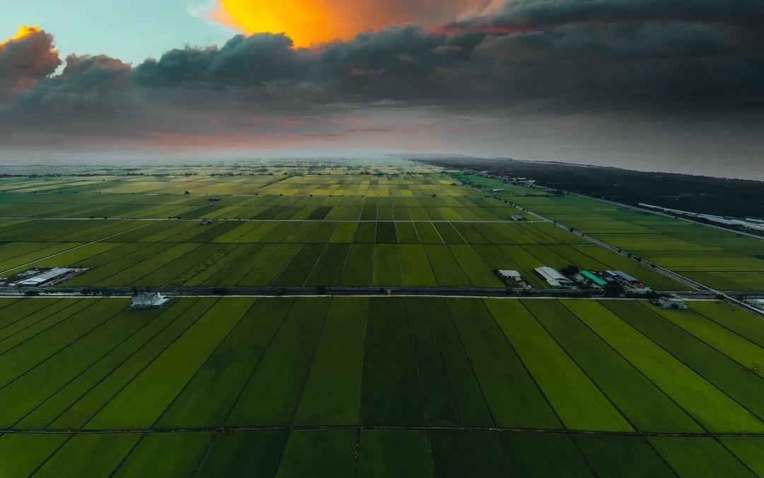 Altını, doları geride bırakan yatırım! Artık kazanç toprakta! Piyasa uçuşa geçti o iller ucuz kaldı 1