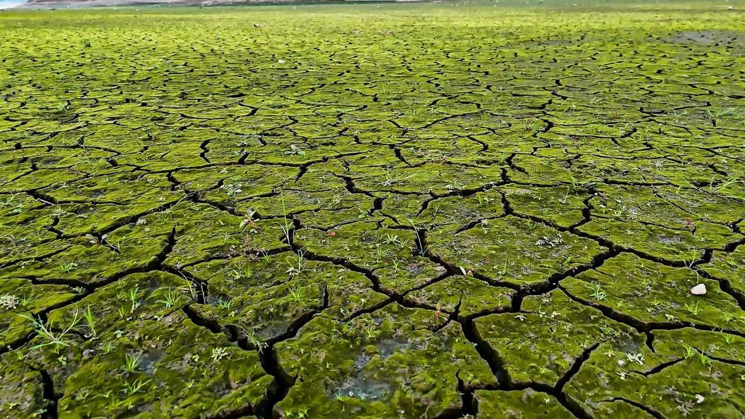 İstanbul a su sağlayan barajlar alarm veriyor! Kuraklığın izleri havadan görüntülendi 1