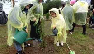 Sancaktepe’de yarının nefesi olacak binlerce fidan toprakla buluşturuldu