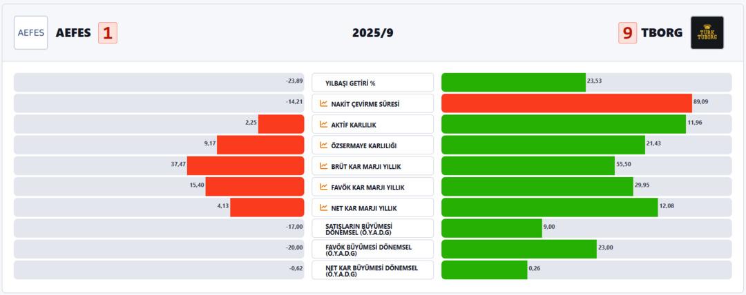 AEFES vs TBORG Karşılaştırması! 10 Finansal Kalemde “Malt İçeceğin” Kralı Belli Oldu! 1