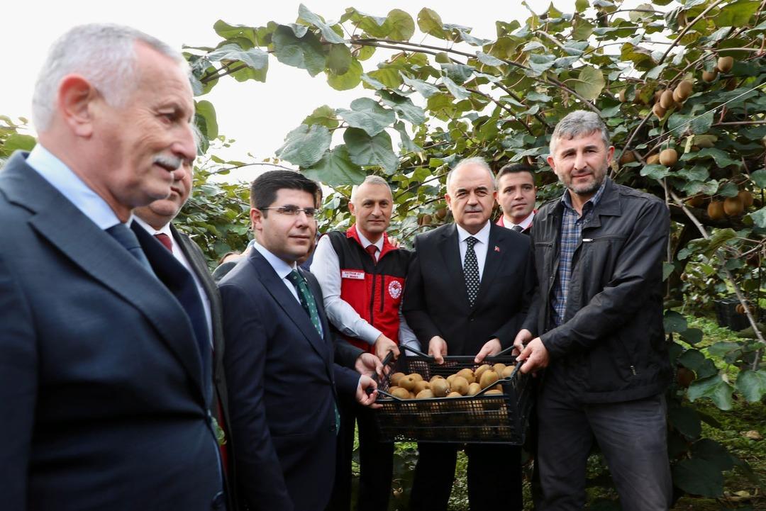 Hasat başladı: O ilin ekonomisine 520 milyon TL katkı!  1