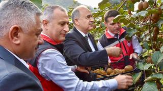 Hasat başladı: O ilin ekonomisine 520 milyon TL katkı! 