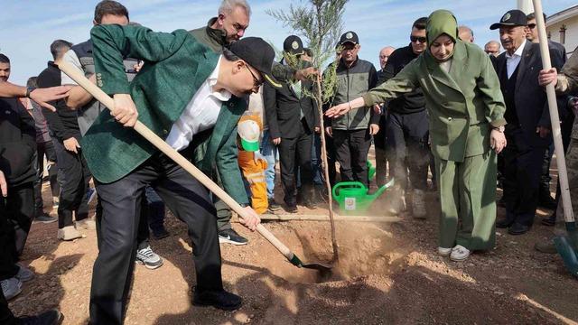 Siirt’te binlerce fidan aynı anda toprakla buluştu 7