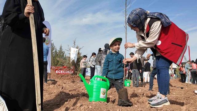 Siirt’te binlerce fidan aynı anda toprakla buluştu 6