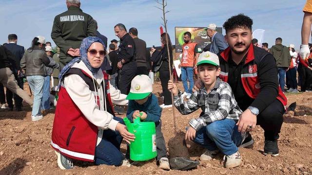 Siirt’te binlerce fidan aynı anda toprakla buluştu 5