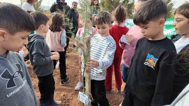 Siirt’te binlerce fidan aynı anda toprakla buluştu 4