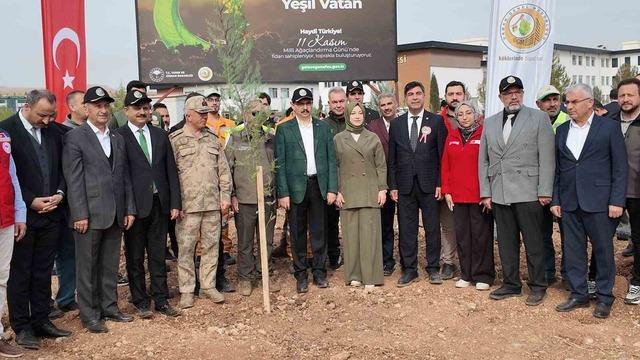 Siirt’te binlerce fidan aynı anda toprakla buluştu 3