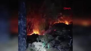 Hatay'da iki ayrı noktada orman yangını