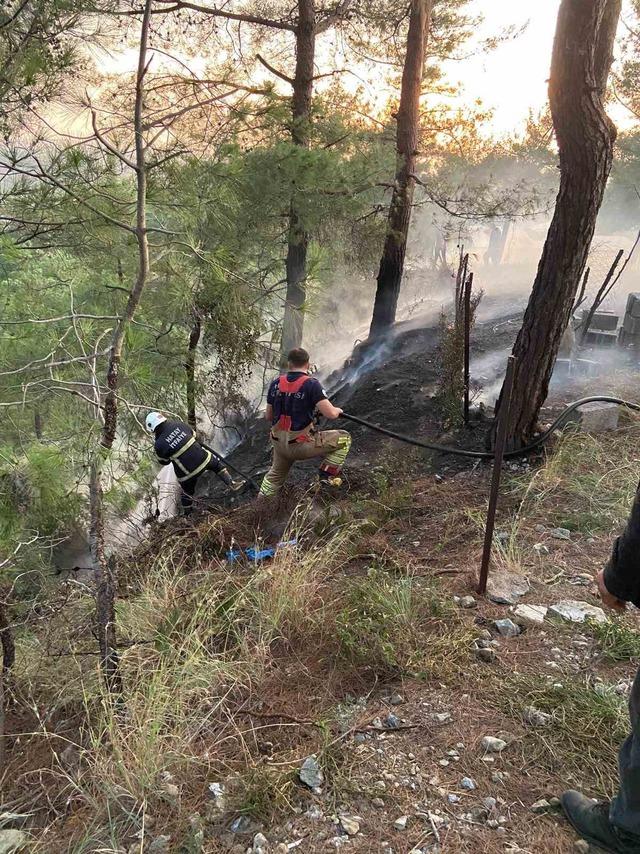Dörtyol’da ormanlık yangını 2