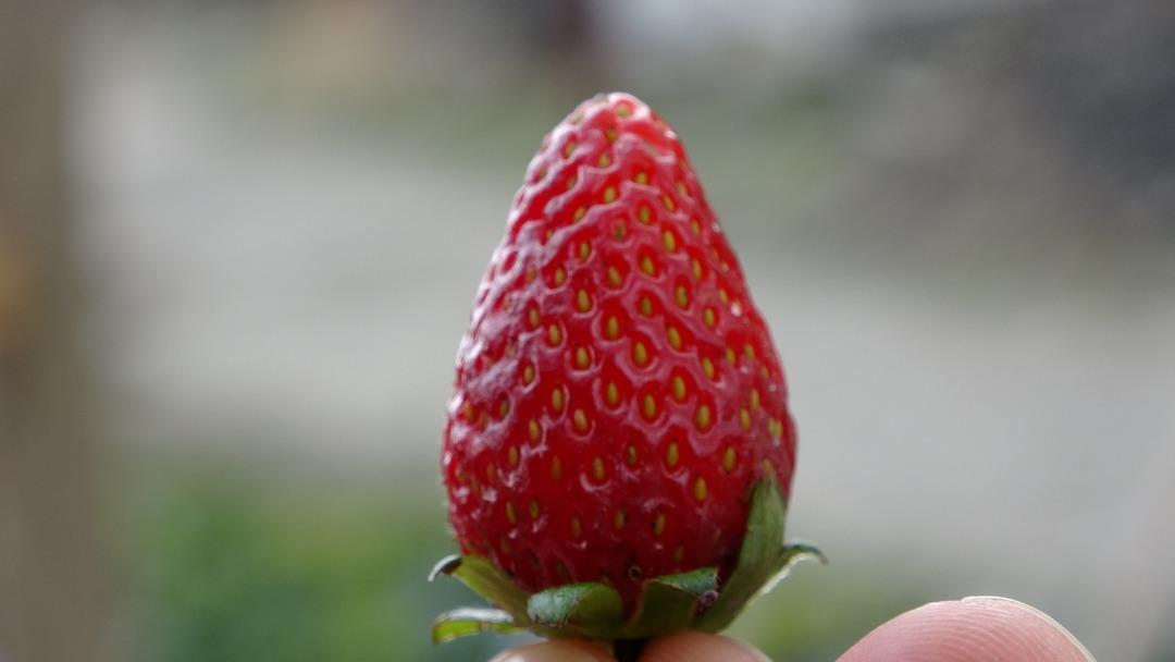 Ücretsiz veriyor! 5 bin kişi gelsin istiyor  Fakir bir ailenin çocuğuyum  9